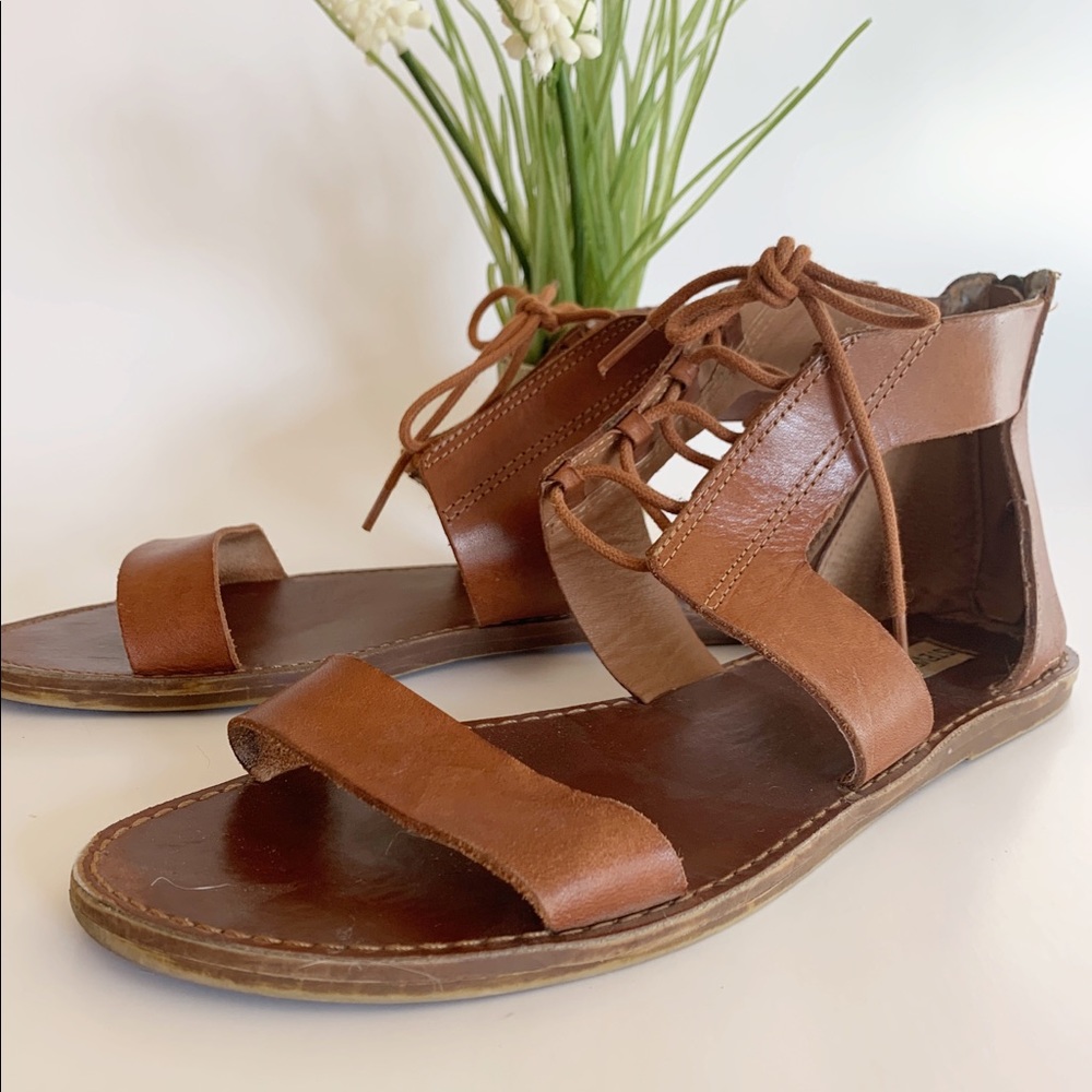 Steve Madden brown gladiator sandals